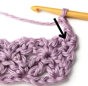 Verbena Crochet Stitch Photo Tutorial