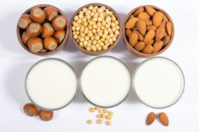 6 Ways to Make Dairy Substitutes at Home 6 Ways to Make Dairy Substitutes at Home