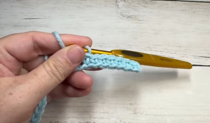 How to Crochet the Carousel Stitch Photo Tutorial