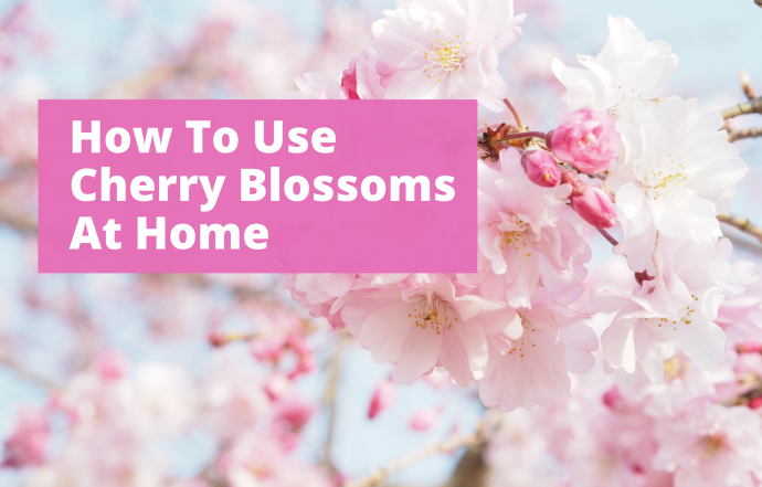 How to Use Cherry Blossoms