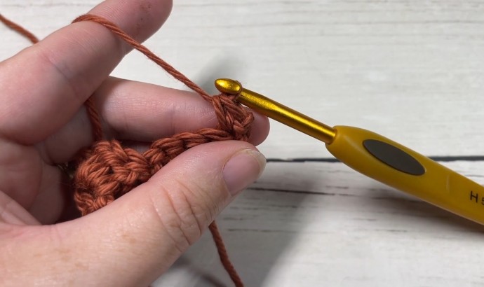 How to Crochet the Sidesaddle Shell Stitch Photo Tutorial