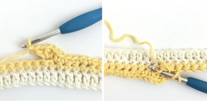 Magnolia Blooms: A Crochet Stitch Masterpiece