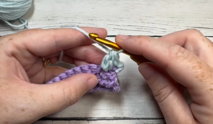How to Crochet the Gridlock Stitch Photo Tutorial