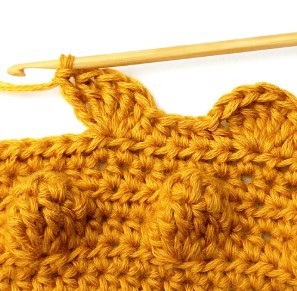 Chestnut Crochet Stitch Photo Tutorial