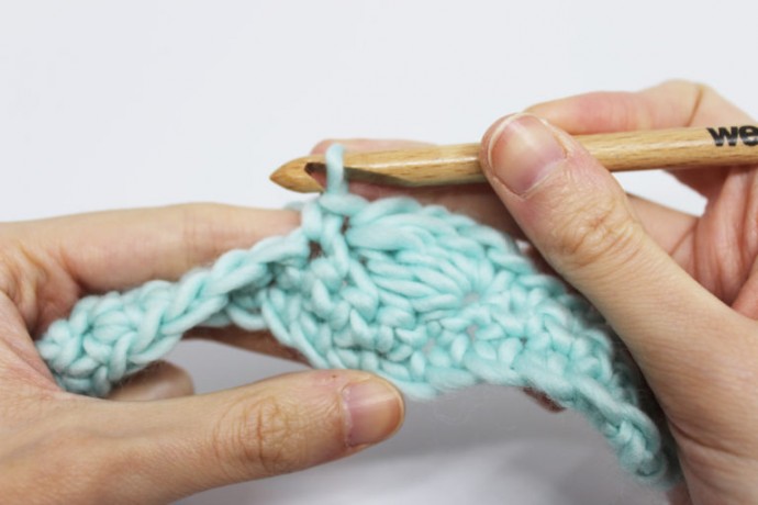 How to Crochet the Conch Stitch Photo Tutorial