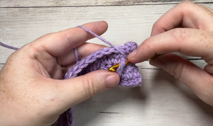 How to Crochet the ZigZag Cable Stitch Photo Tutorial