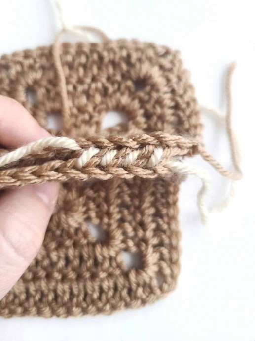 Whip Stitch Crochet Technique
