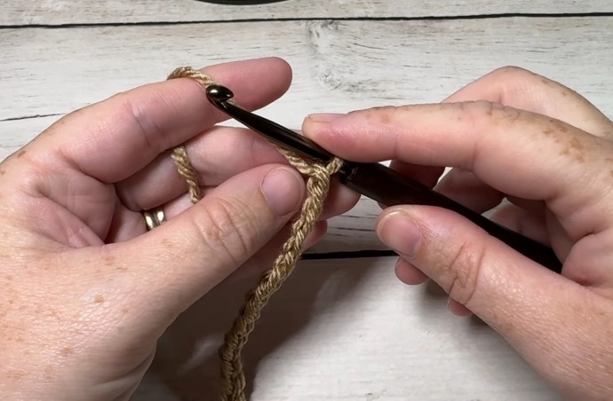 How to Crochet the Moon Stitch Photo Tutorial