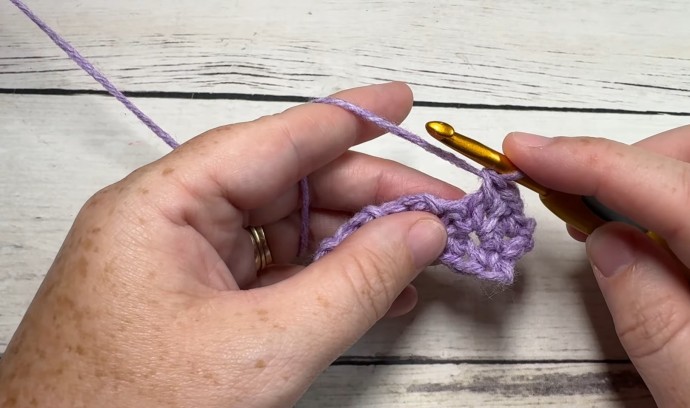 How to Crochet the Twig Stitch Photo Tutorial