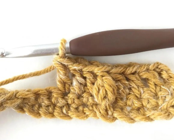 Falling Leaves Crochet Stitch Photo Tutorial