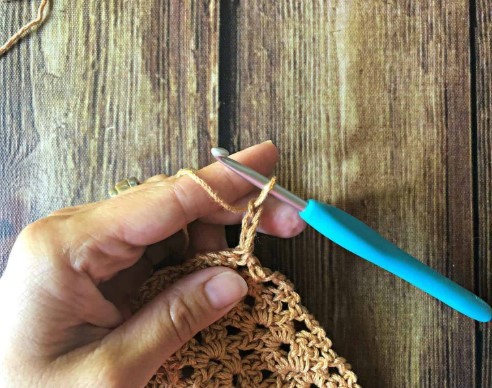 How to Crochet the Iris Stitch Photo Tutorial