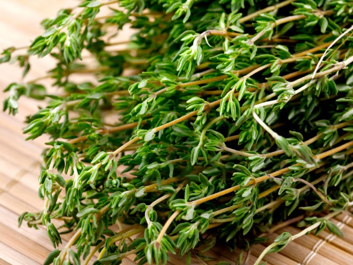 Guide to Fresh Herbs – Part 2