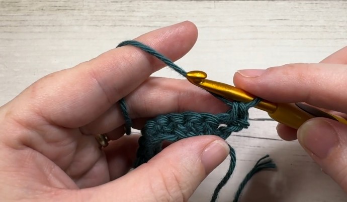 How to Crochet the Seashell Stitch Photo Tutorial