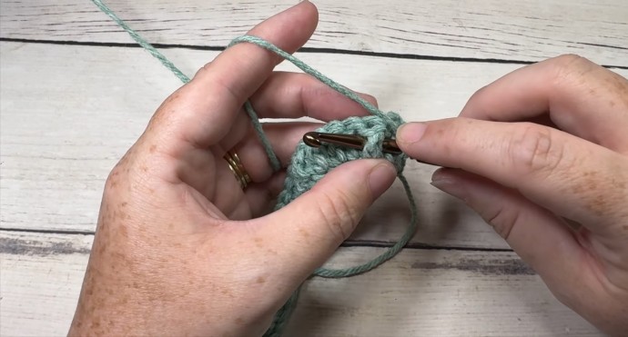 How to Crochet the 3D Twisted Shell Stitch Photo Tutorial