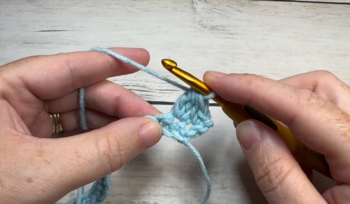 How to Crochet the Carousel Stitch Photo Tutorial