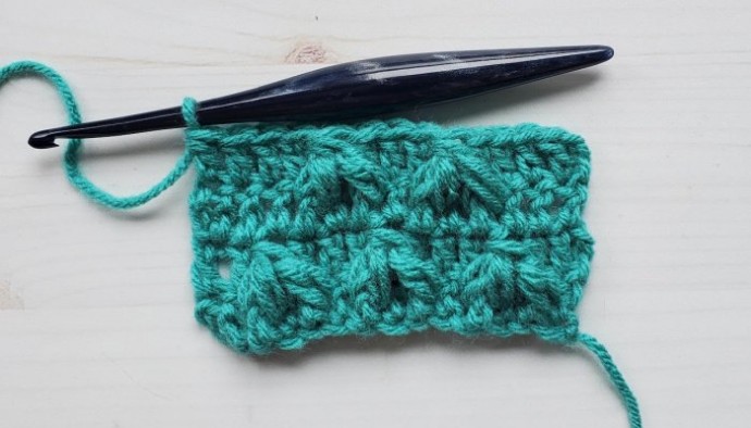 Leafhopper Crochet Stitch Photo Tutorial