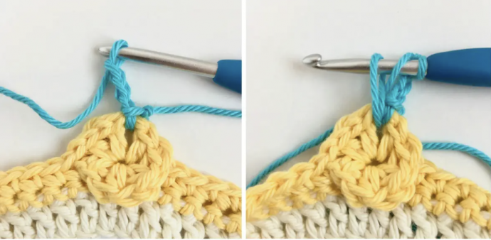 Magnolia Blooms: A Crochet Stitch Masterpiece