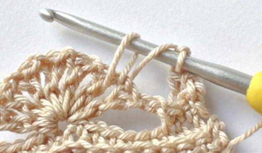 Crochet Dense Shell Stitch