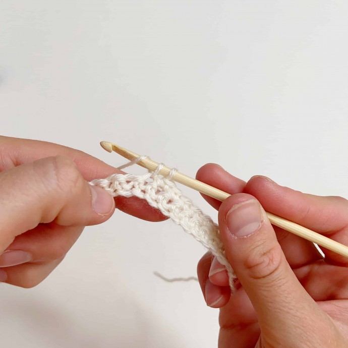 Field of Flowers Crochet Stitch Photo Tutorial