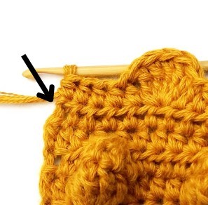 Chestnut Crochet Stitch Photo Tutorial