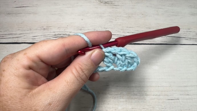 How to Crochet the Double Cluster V Stitch Photo Tutorial