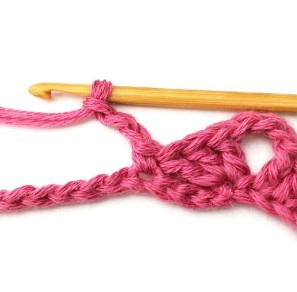 Braids and Columns Crochet Stitch Photo Tutorial