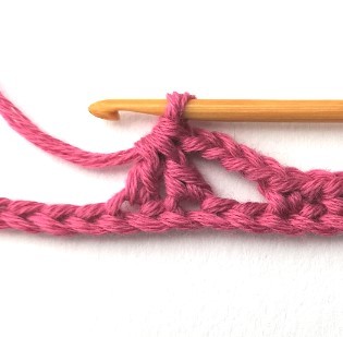 Flower and Triangle Crochet Stitch Photo Tutorial