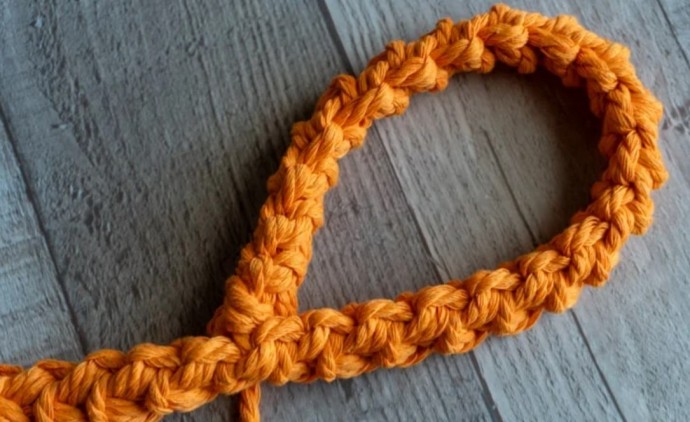 How to Crochet a Dog Leash