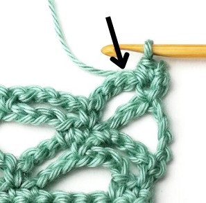 Double Trellis Crochet Stitch Photo Tutorial