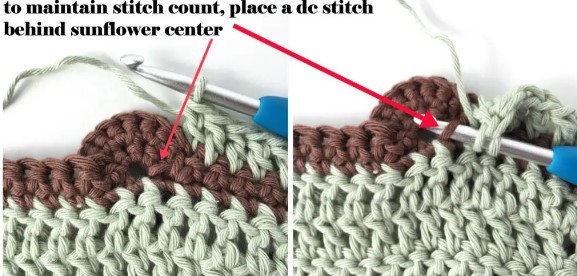 How to Crochet a Sunflower Stitch Photo Tutorial