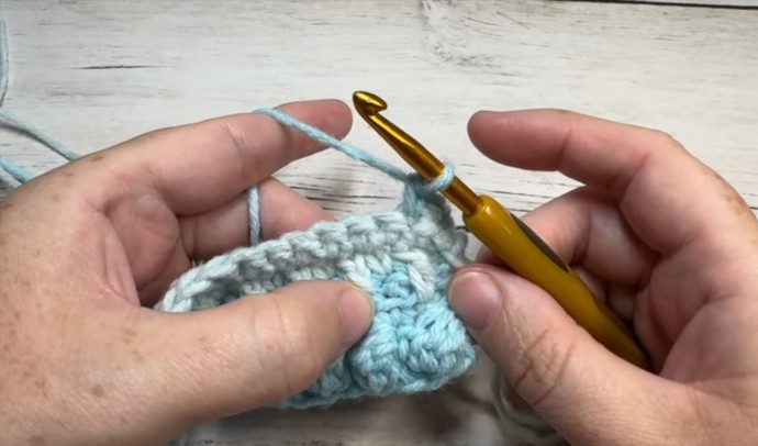How to Crochet the Carousel Stitch Photo Tutorial