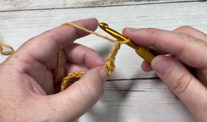 How to Crochet the Flying Shell Stitch Photo Tutorial