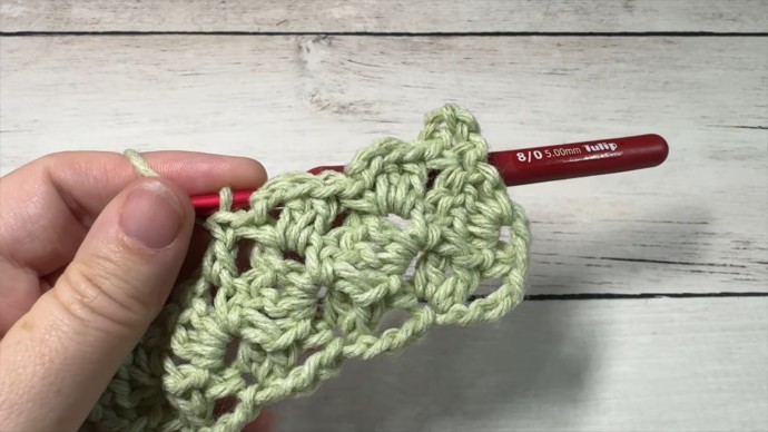 How to Crochet the Linked Shells Stitch Photo Tutorial