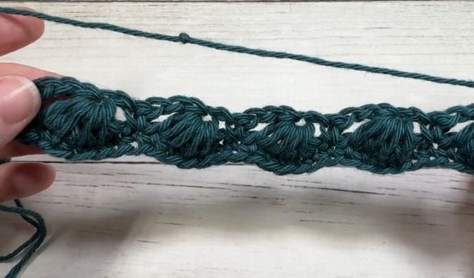 How to Crochet the Seashell Stitch Photo Tutorial