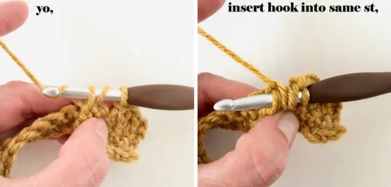 Falling Leaves Crochet Stitch Photo Tutorial