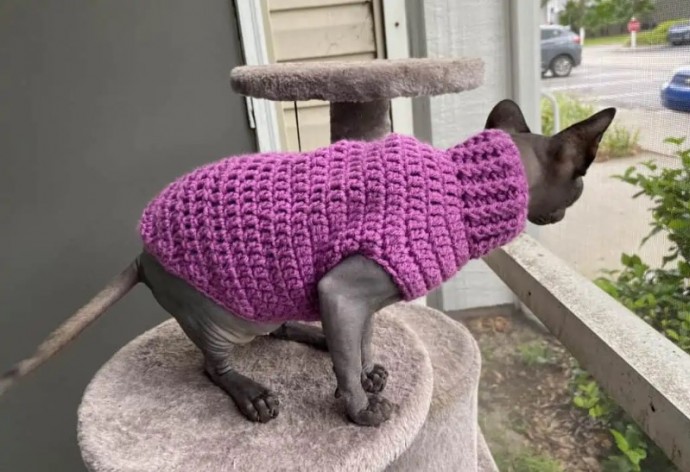 Crochet Cat Sweater