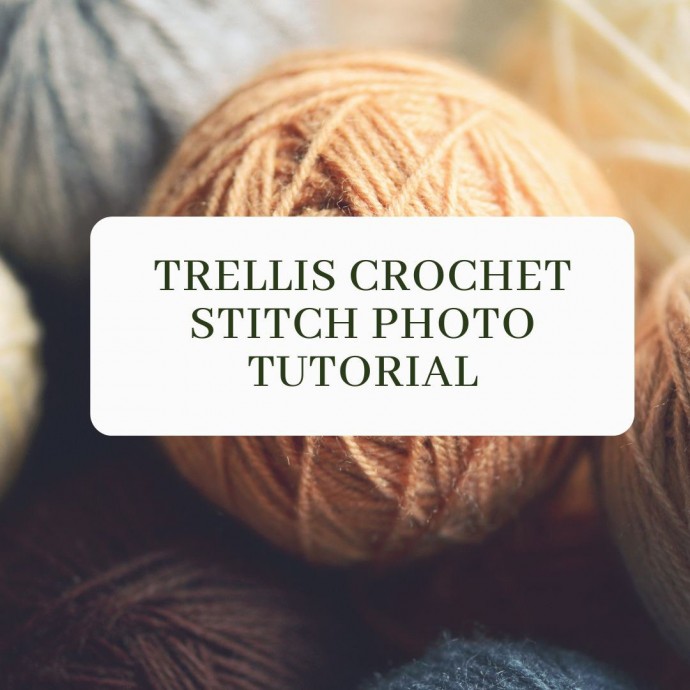 Trellis Crochet Stitch