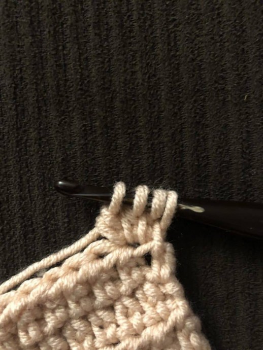Twin Clusters Crochet Stitch Photo Tutorial