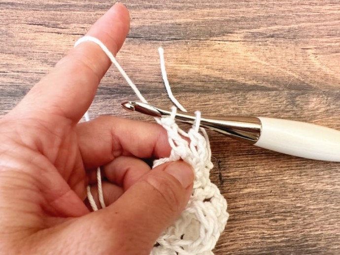 How to Crochet the Back Post Treble (BPtr) Photo Tutorial