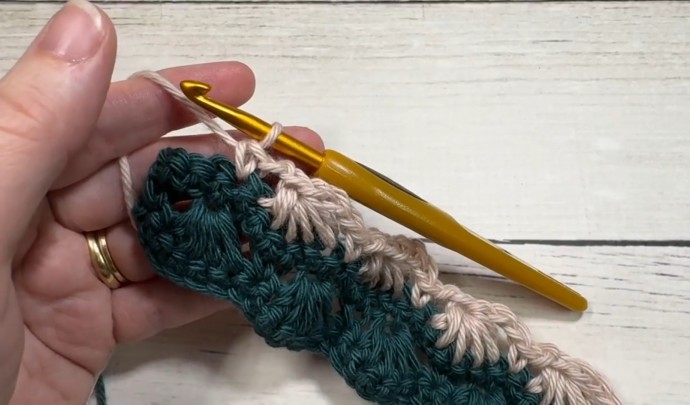 How to Crochet the Seashell Stitch Photo Tutorial