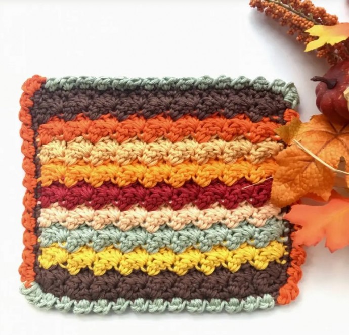 Bobble Shell Stitch Crochet Border Photo Tutorial