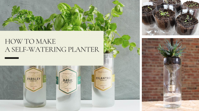 Garden Hacks: Make a Self-Watering Planter