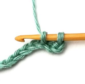 Wild Net Crochet Stitch Photo Tutorial