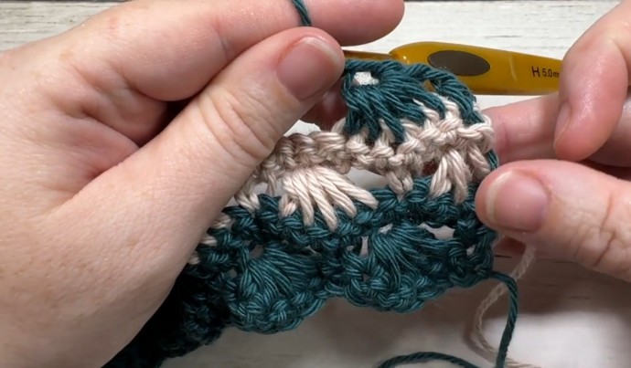 How to Crochet the Seashell Stitch Photo Tutorial