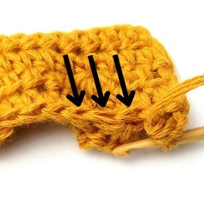 Chestnut Crochet Stitch Photo Tutorial