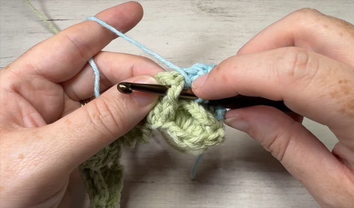 How to Crochet the Swallowtail Stitch Photo Tutorial