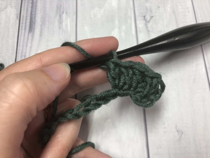 How to Crochet the Twin V Stitch Photo Tutorial