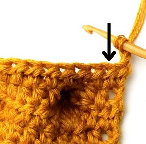 Chestnut Crochet Stitch Photo Tutorial