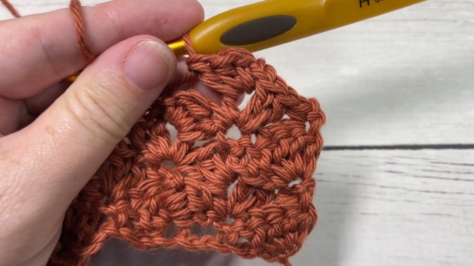 How to Crochet the Sidesaddle Shell Stitch Photo Tutorial