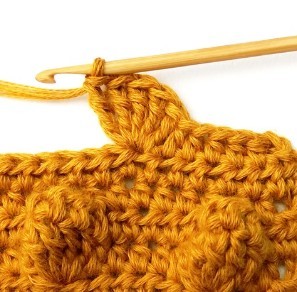 Chestnut Crochet Stitch Photo Tutorial